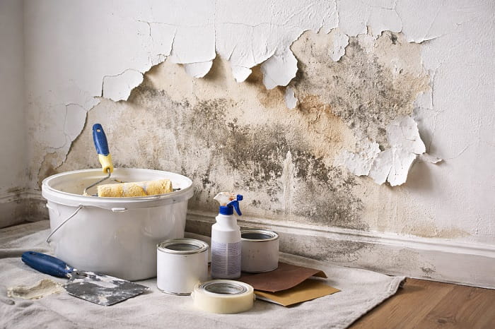 Peinture intérieure qui s’écaille causes et solutions