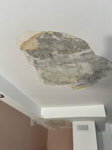 avant plafond paris 16 avant plafond paris 16